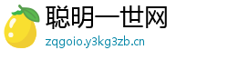聪明一世网